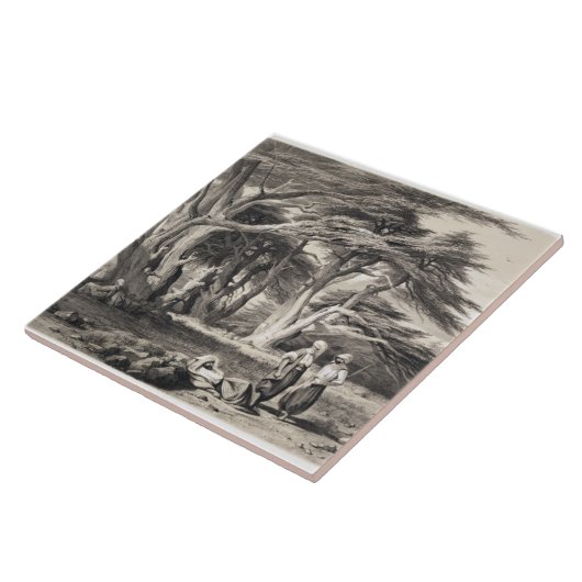 Die Zedern vom Libanon, graviert von Freeman Fliese (Seite)