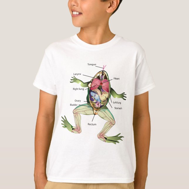 Die Zeichnend Anatomie des Frosches T-Shirt (Vorderseite)