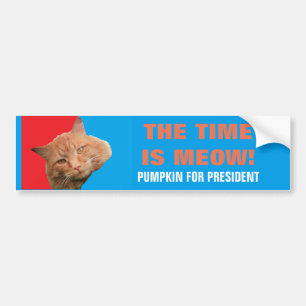 Die Zeit ist knapp! Red Blue Pumpkin für Präsident Autoaufkleber