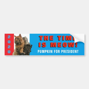 Die Zeit ist Miau! Majestätischer Kürbis als Präsi Autoaufkleber