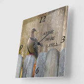 Die zeitlose Taube! Quadratische Wanduhr (Winkel)