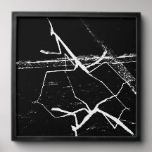 Die Zen-Mantis