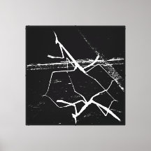 Die Zen-Mantis