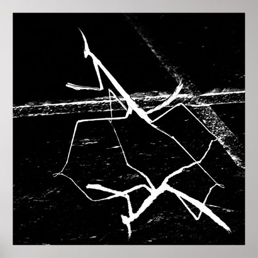 Die Zen-Mantis Poster (Vorne)