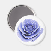 Die zerbrechliche Schönheit einer Rose Magnet (Vorderseite/Rückseite)