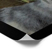 Die Ziege hat Poster gesprochen (Ecke)