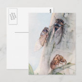 DIE ZIKADE 2 POSTKARTE (Vorne/Hinten)