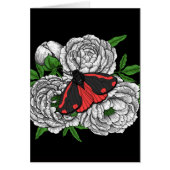 Die Zimtmotte (Vorne)