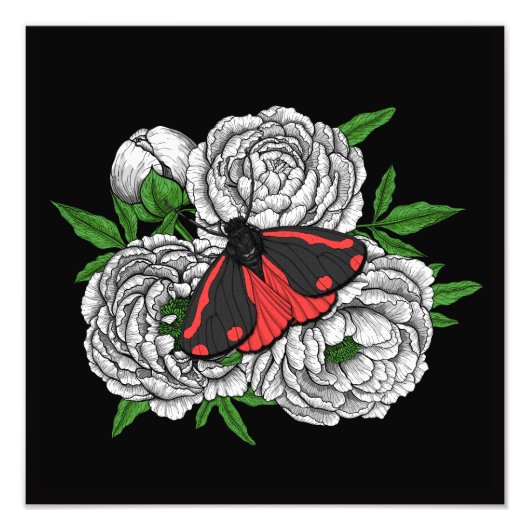 Die Zimtmotte Fotodruck (Vorne)