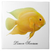 Die Zitrone Severum Cichlid-Fisch-Fliese Fliese (Vorderseite)