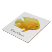 Die Zitrone Severum Cichlid-Fisch-Fliese Fliese (Seite)