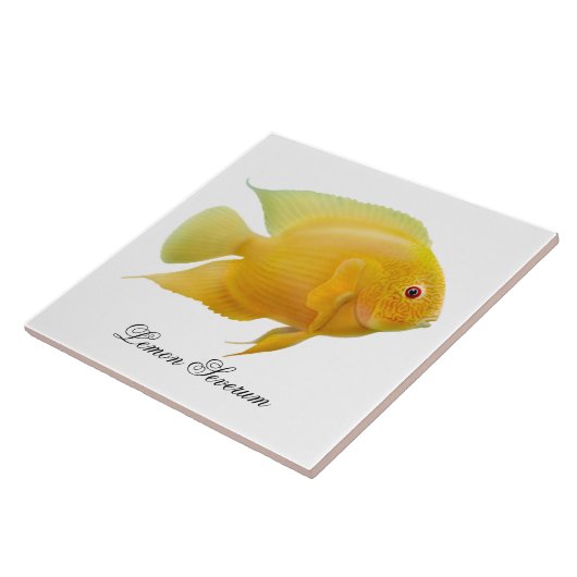 Die Zitrone Severum Cichlid-Fisch-Fliese Fliese (Seite)
