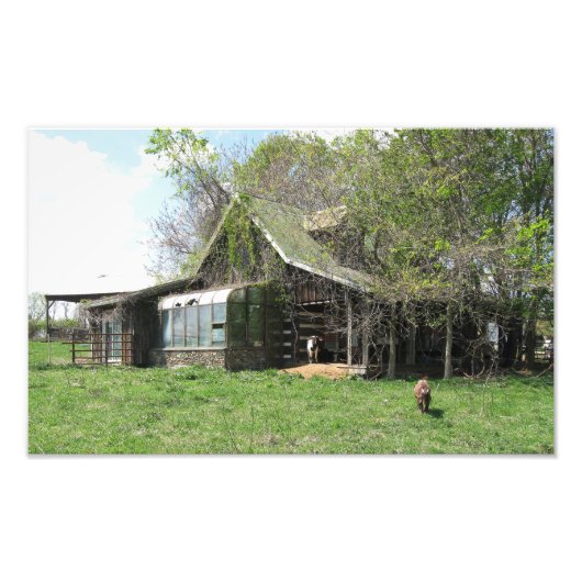 Die Zuhause der alten Ziegen Fotodruck (Vorne)