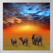 Die Zukunft ist hell Poster (Vorne)