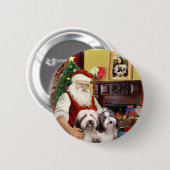 Die zwei bärtigen Colliese des Weihnachtsmanns Button (Vorne & Hinten)