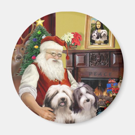 Die zwei bärtigen Colliese des Weihnachtsmanns Magnet (Vorne)
