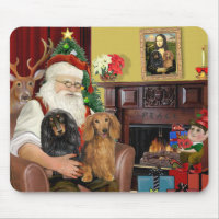 Die zwei langhaarigen Dackeln des Weihnachtsmanns
