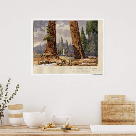 Die zwei Sentinels im Grove of Big Trees Poster (Küche)