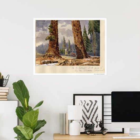 Die zwei Sentinels im Grove of Big Trees Poster (Heimbüro)