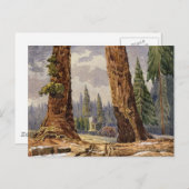 Die zwei Sentinels im Grove of Big Trees Postkarte (Vorne/Hinten)