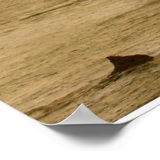 Die zwölf Apostel Poster (Ecke)