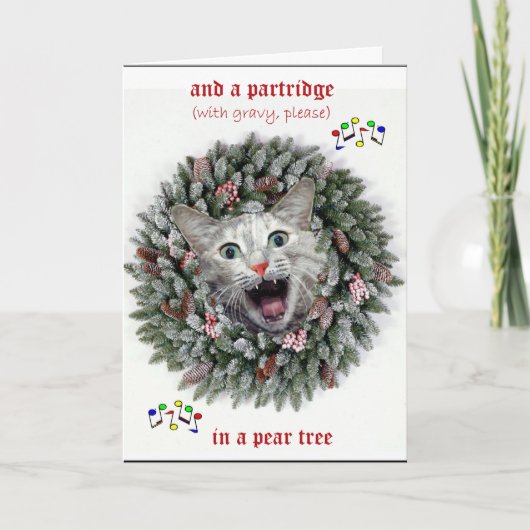 Die zwölf Tage einer Katze Weihnachten (Vorderseite)