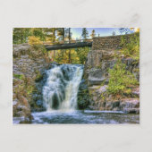 Diebe in Duluth Postkarte (Vorderseite)