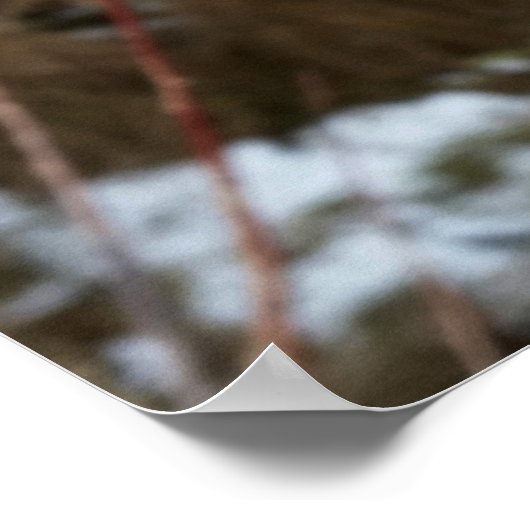 Diebstahl im Januar Poster (Ecke)