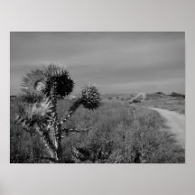 Diebstahl im Sommer von Madrid