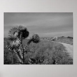 Diebstahl im Sommer von Madrid Poster