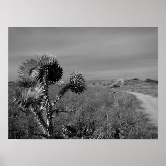 Diebstahl im Sommer von Madrid Poster (Vorne)