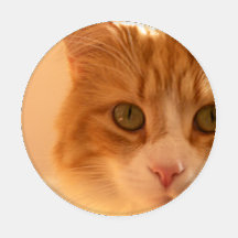 Diego Cat Untersetzer Set