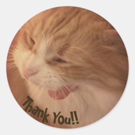 Diego die Katze Danke Stickers