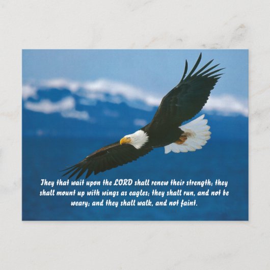 Diejenigen, die auf den Herrn warten Postkarte (Vorderseite)