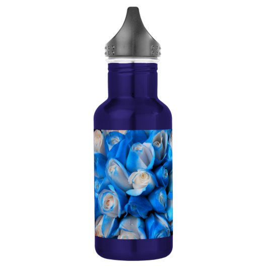 Diemudis Edelstahlflasche (Links)