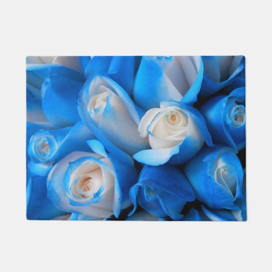 Diemudis Fußmatte (Vorderseite)