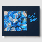 Diemudis Gästebuch (Vorderseite)