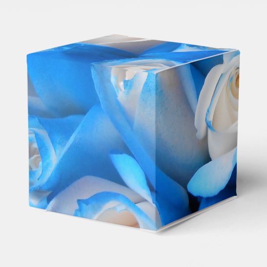 Diemudis Geschenkschachtel (Rückseite)