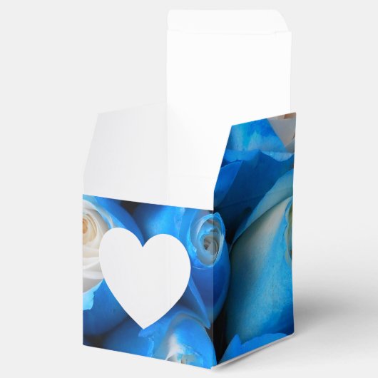 Diemudis Geschenkschachtel (Geöffnet)