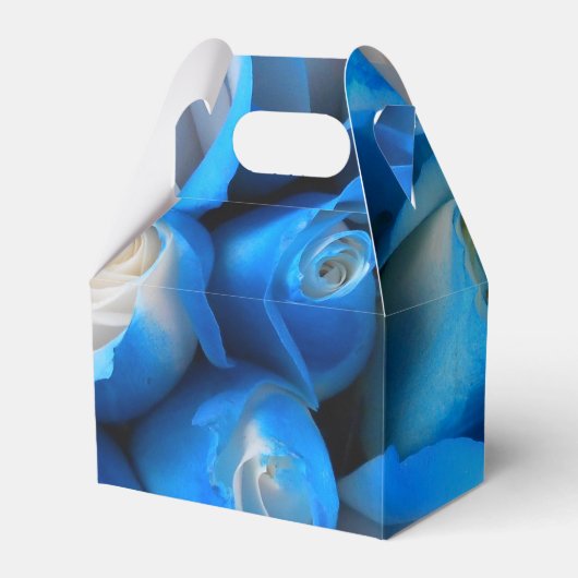 Diemudis Geschenkschachtel (Vorderseite)