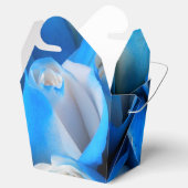 Diemudis Geschenkschachtel (Geöffnet)