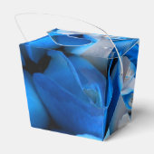 Diemudis Geschenkschachtel (Rückseite)