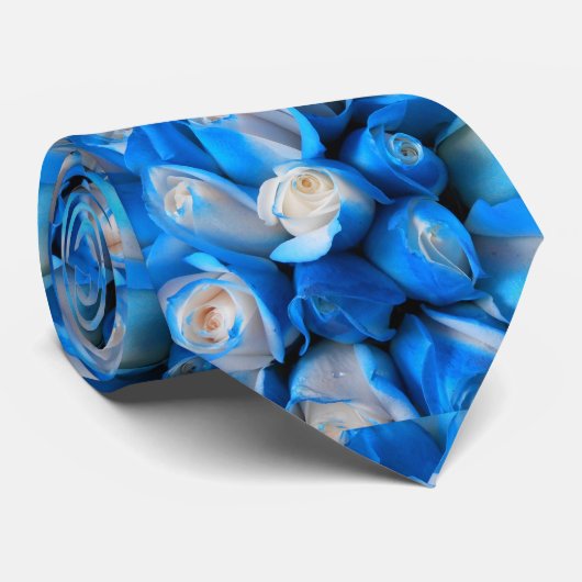 Diemudis Krawatte (Gerollt)