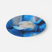 Diemudis Pappteller (Schrägansicht)