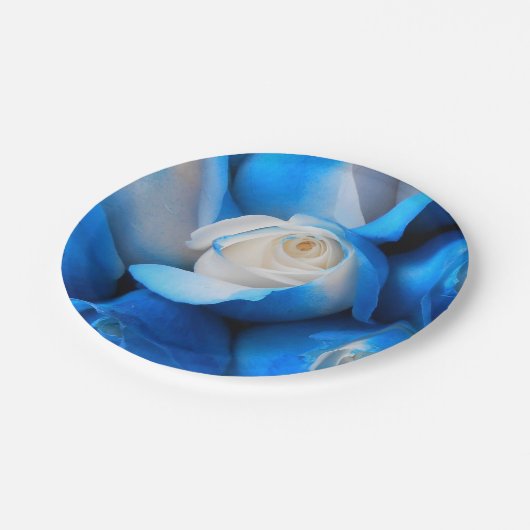 Diemudis Pappteller (Schrägansicht)