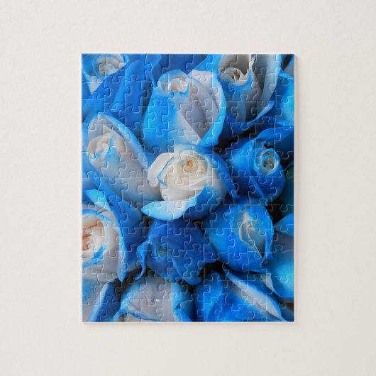 Diemudis Puzzle (Vertikal)