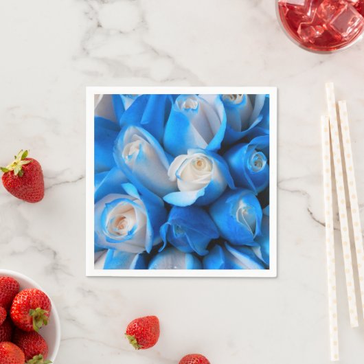 Diemudis Serviette (Beispiel)