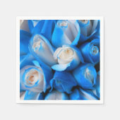 Diemudis Serviette (Vorderseite)