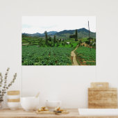 Dieng Farmland Poster (Küche)