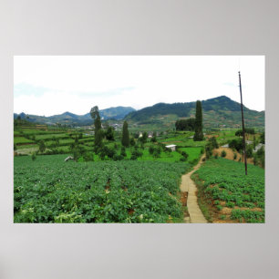 Dieng Farmland Poster